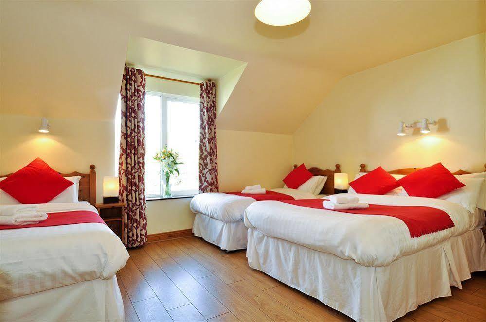 Dingle Harbour Lodge B&B Εξωτερικό φωτογραφία